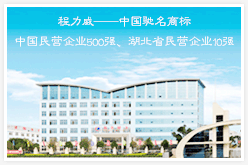 和记娱乐公司办公楼